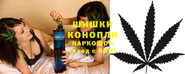 ГАЛЛЮЦИНОГЕННЫЕ ГРИБЫ Горно-Алтайск